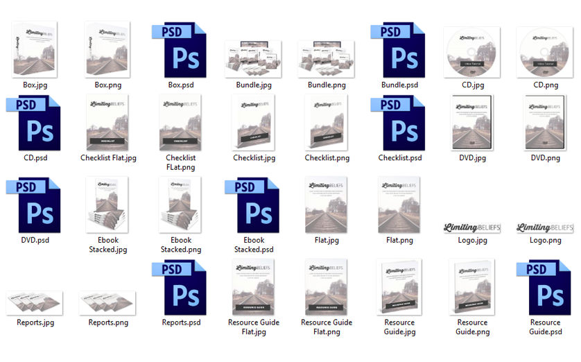 Limiting Beliefs Source Graphic Files