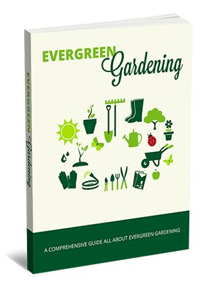 Evergreen Gardening