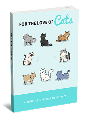 For The Love Of Cats