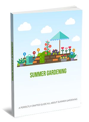 Summer Gardening